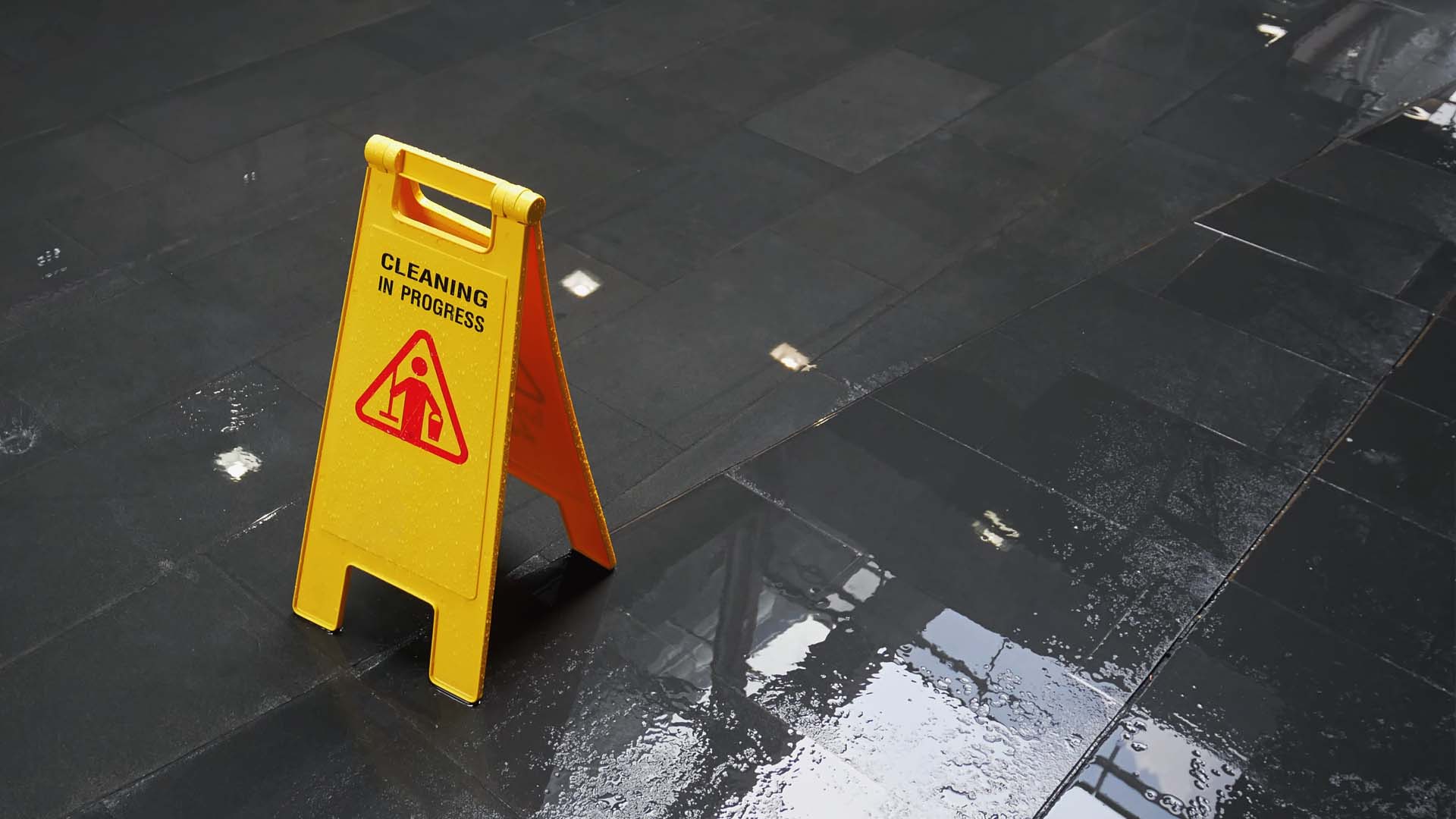 "You Spot It, We got It!"